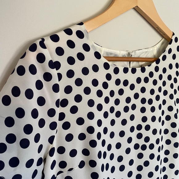 J. Crew Polka Dot Dress - Picture 5 of 6